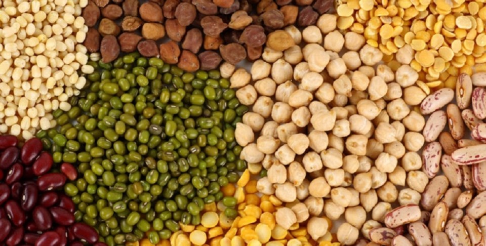 PULSE_CROPS (resize)