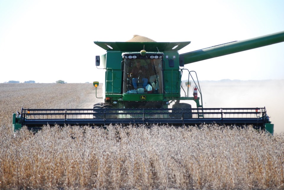 Soybean harvest