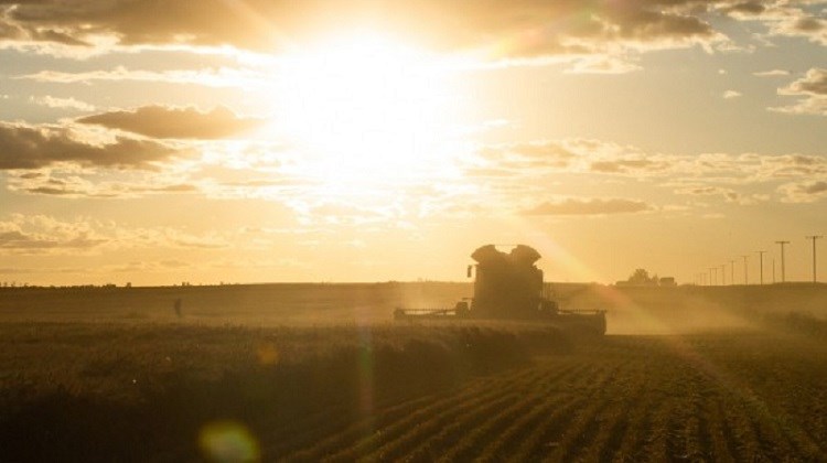 FCC-Combine harvesting crop