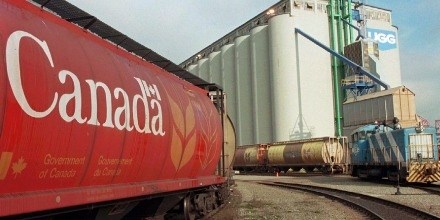 GRAIN_TRAIN_TWITTER