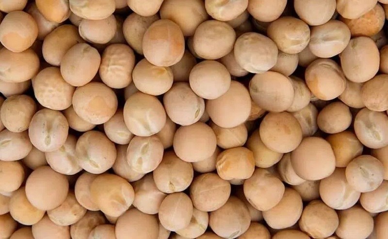 YELLOWPEAS