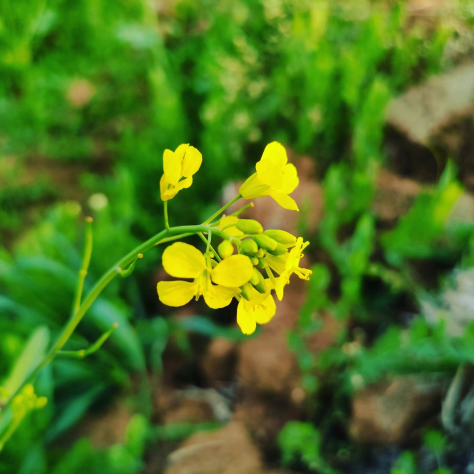 Photo by Miku Zakuzee