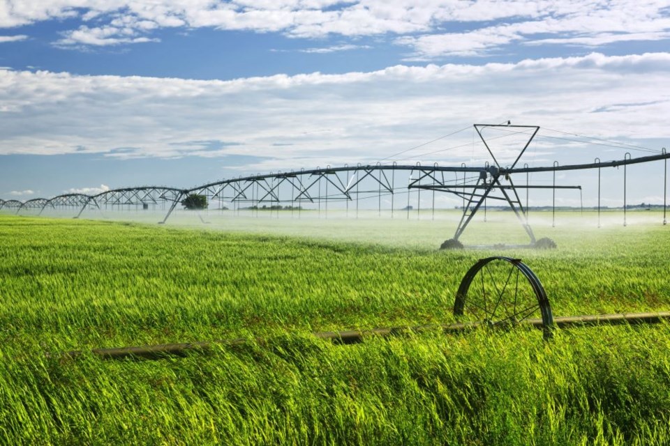 irrigation