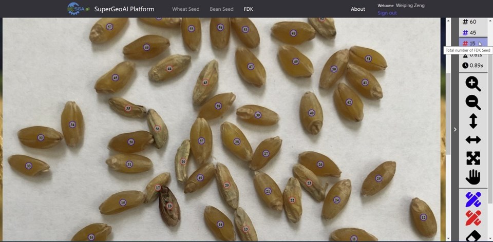 SuperGeoAI Platform-wheat seed