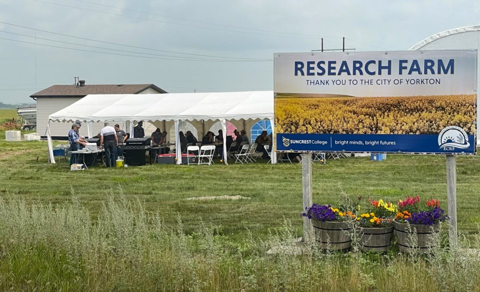 ecrf