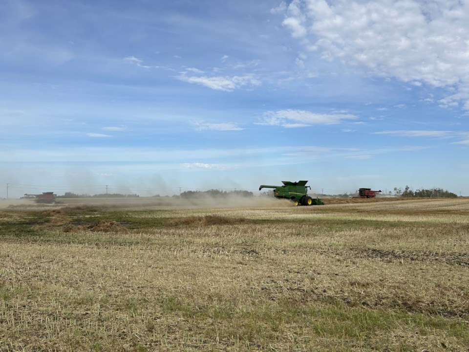 Farming for Health – Harvest