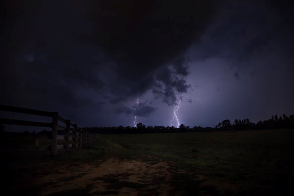Photo by Sebastian Voortman
