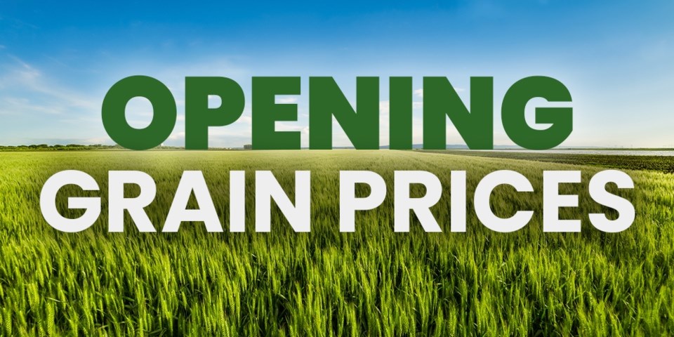 Opening Grain Prices