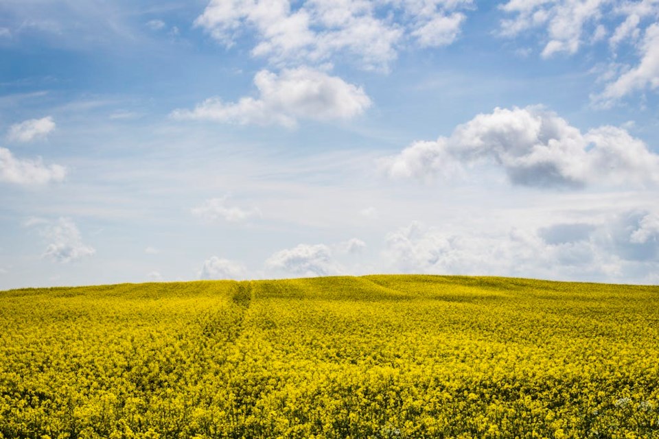 Photo by Karol Wiśniewski