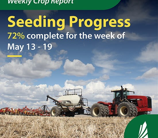 Crops Extension Specialist Tyce Masich updates seeding progress
