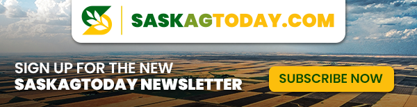 Newsletter Signup