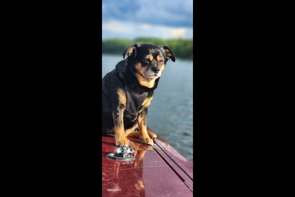 Rosie