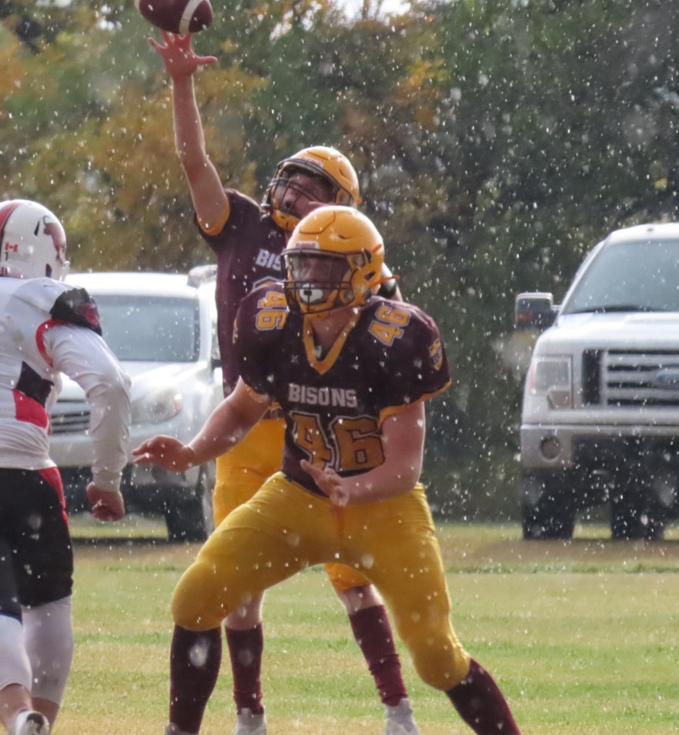 bisonsfball05