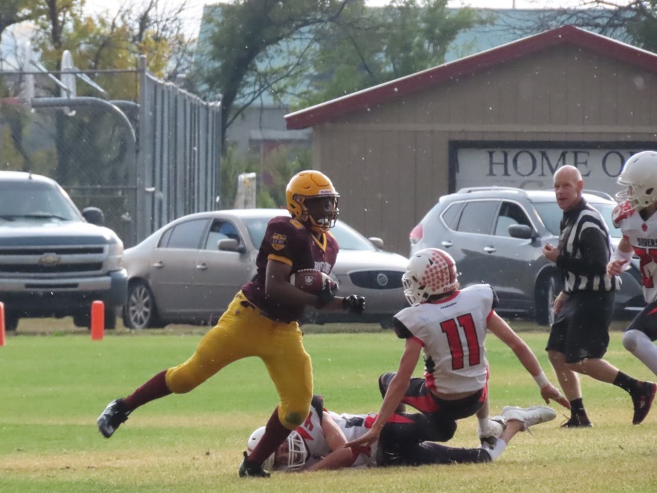 bisonsfball2