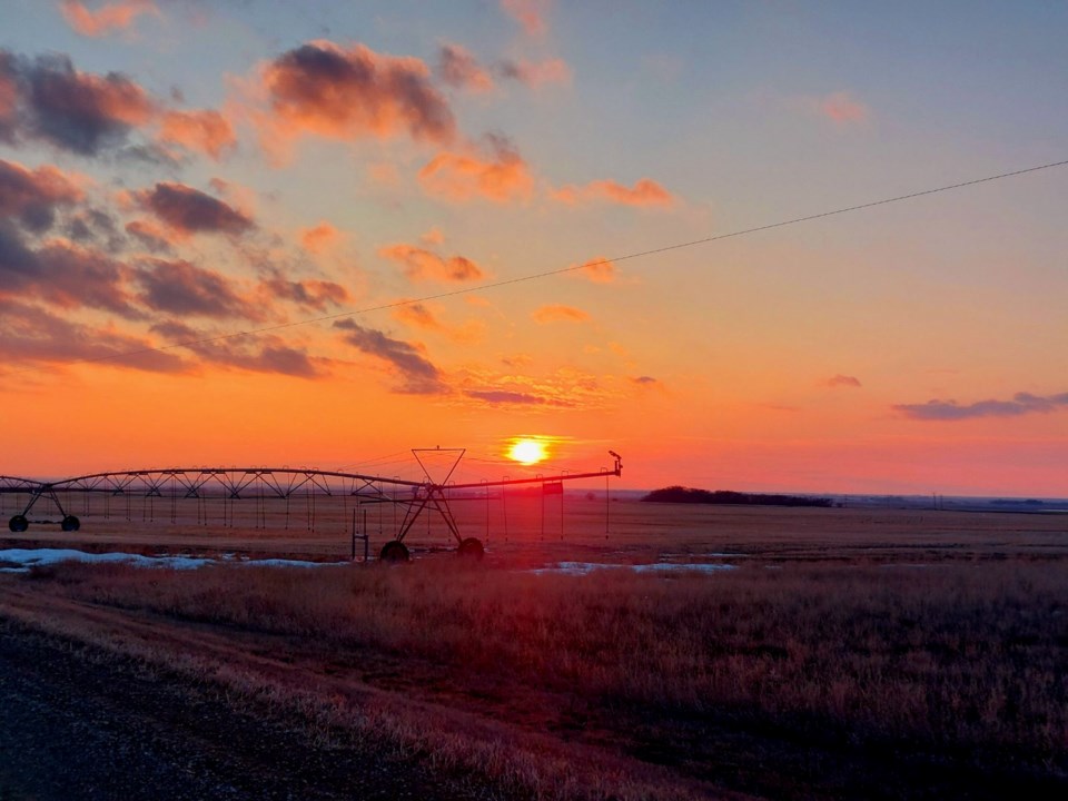 brodericksunset