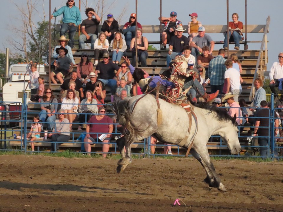 elbowrodeo5