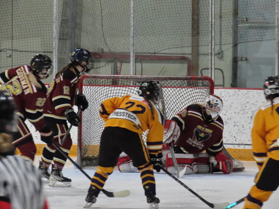 mainlineicehawks2