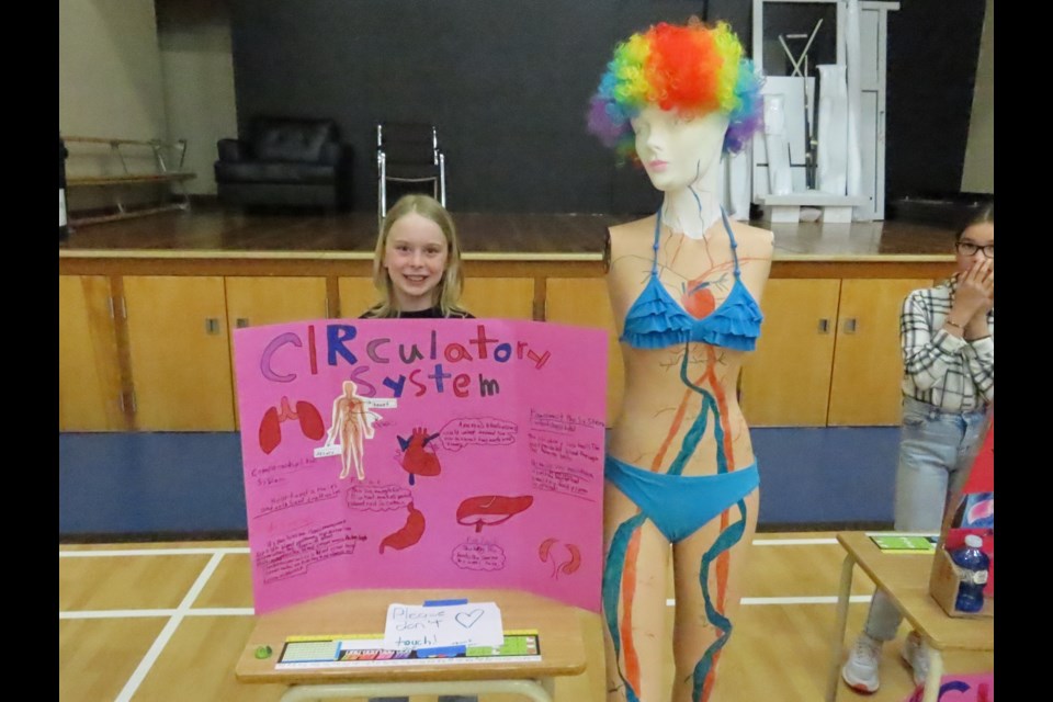 Arial King shows off her display on the circulatory system. Photo by Derek Ruttle.