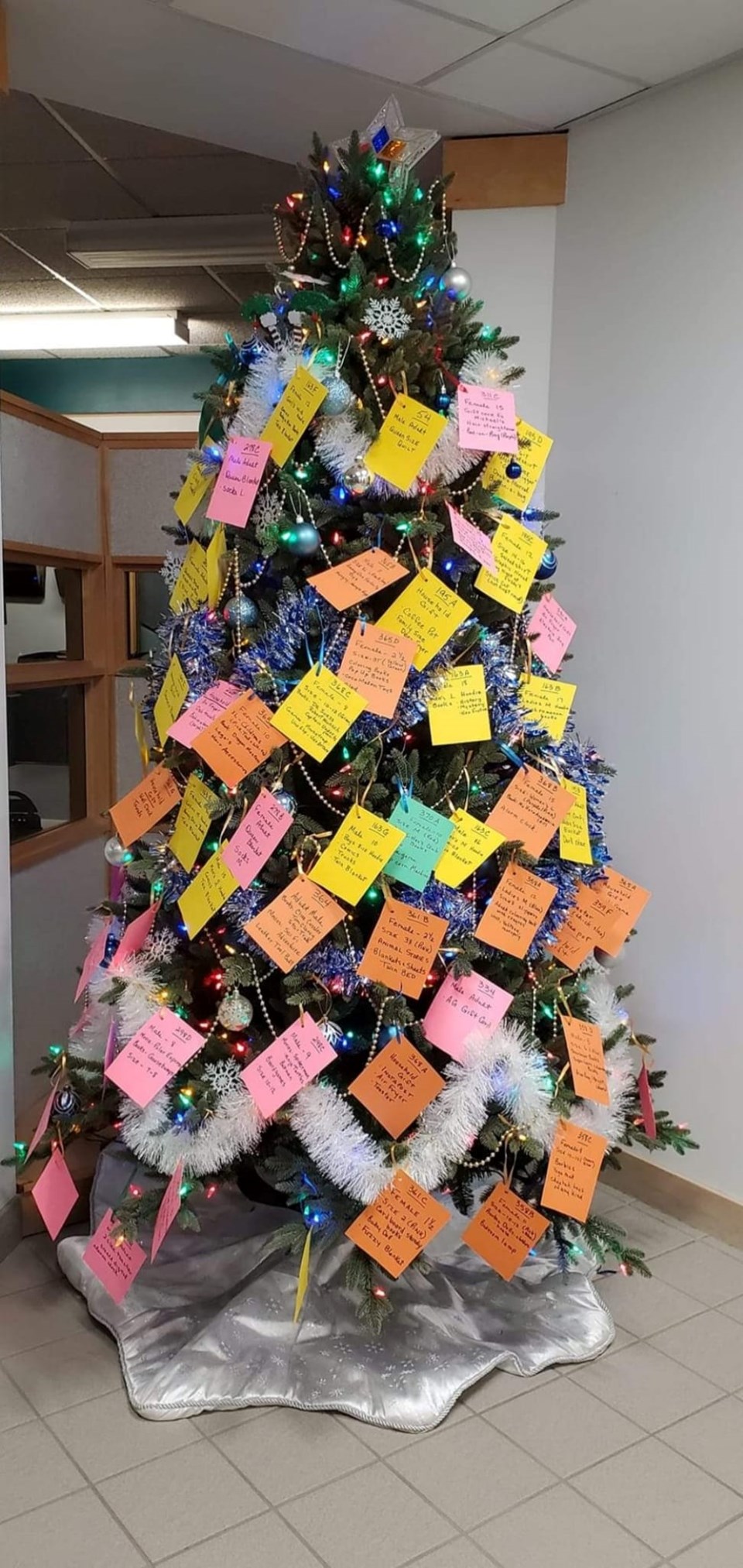 Outlook Food Bank Tree