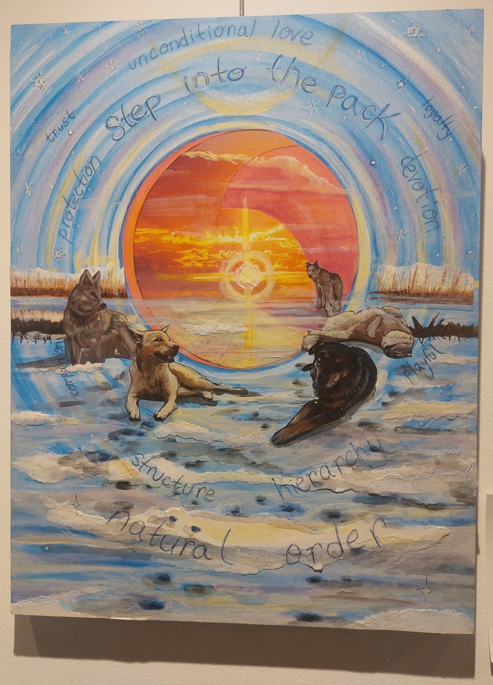 outlookdogart2