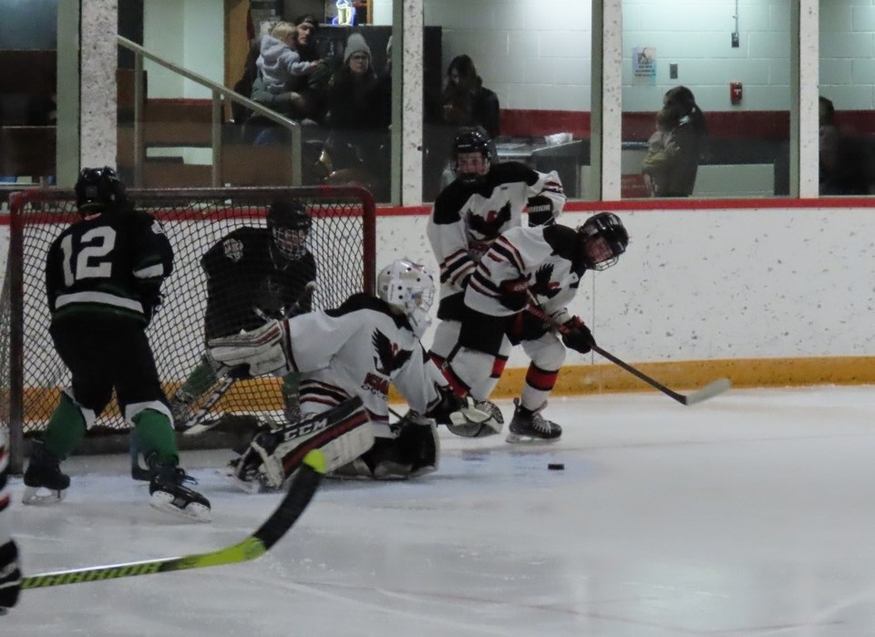 u13icehawks2