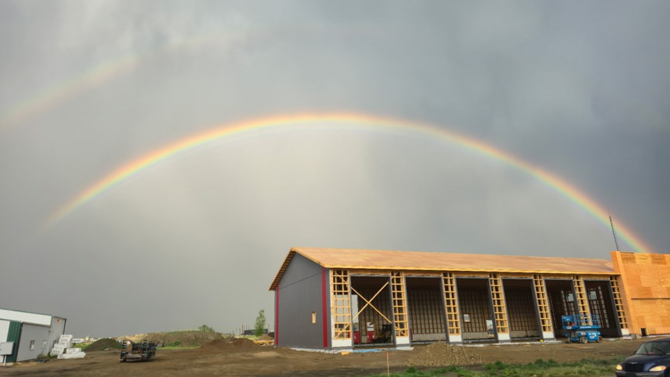 willhardyrainbow