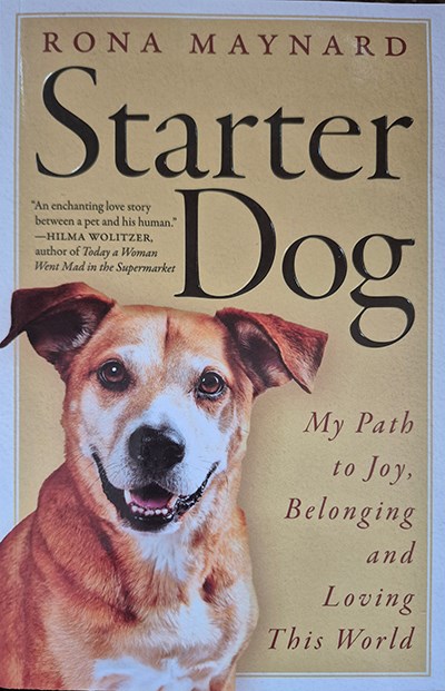 starter-dog