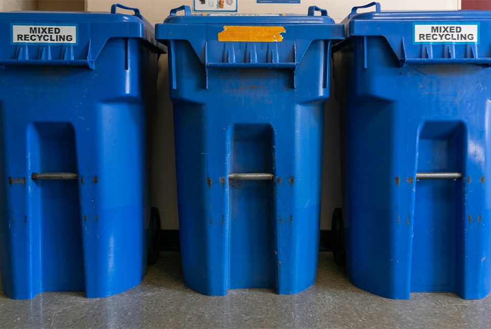 bluebin-unsplash