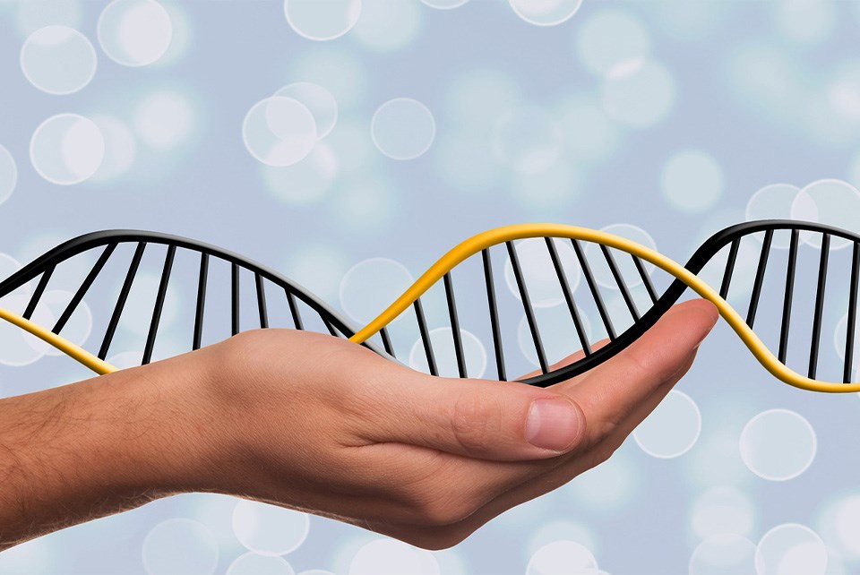 dna-82125