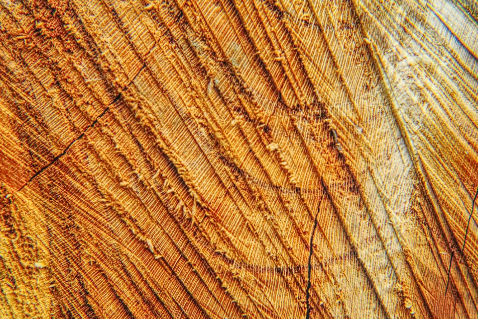 logcut