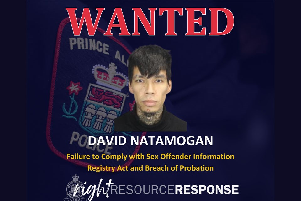 natamogen-wanted