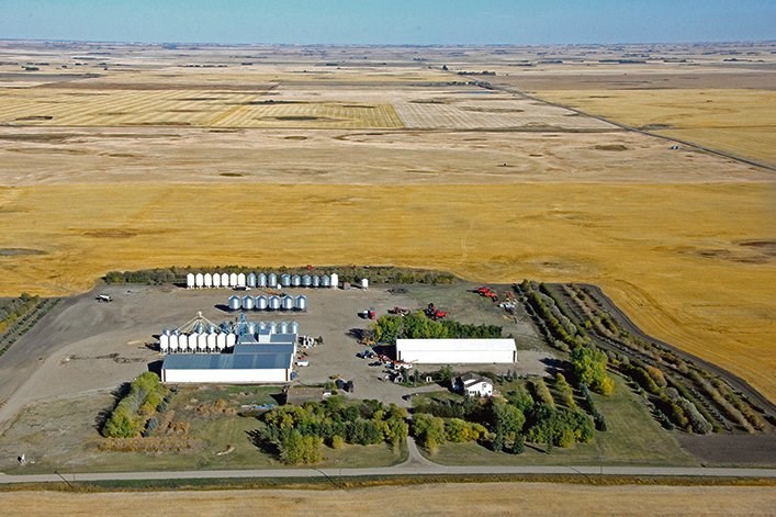 Today, the DSP plant operates in 26,000 sq. feet of warehouse and processing space in adjoining buildings and 4,000 tonnes of storage capacity. 