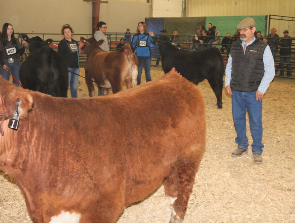 4-h judge 