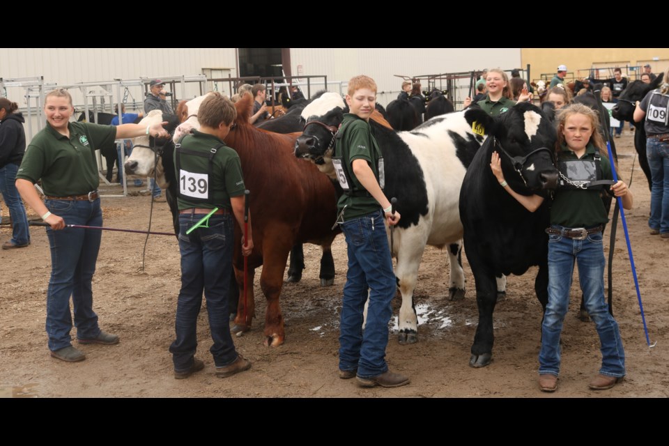 4-H members await entering the show ring for a group class.