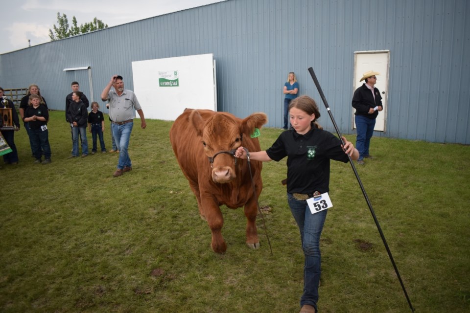 Britt Fornwald led her grand champion steer around the arena. 