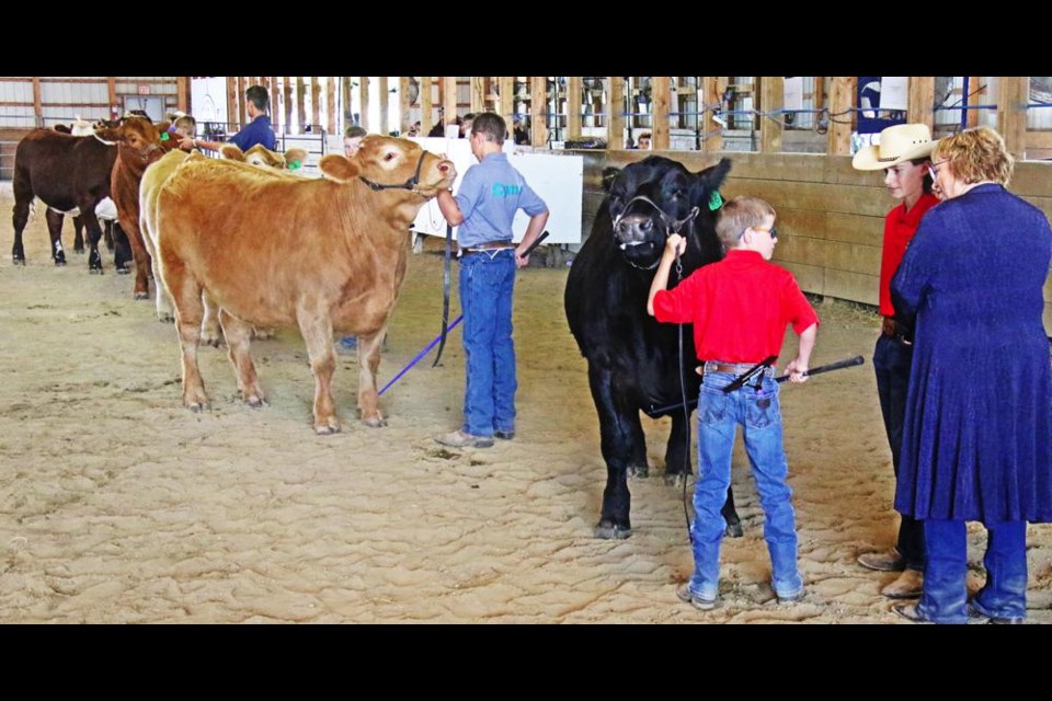 Judge Deanne Young, far right, speaks to one of the junior 4-H members who entered the showmanship class at the Interclub 4-H Beef Show on Monday in Weyburn.