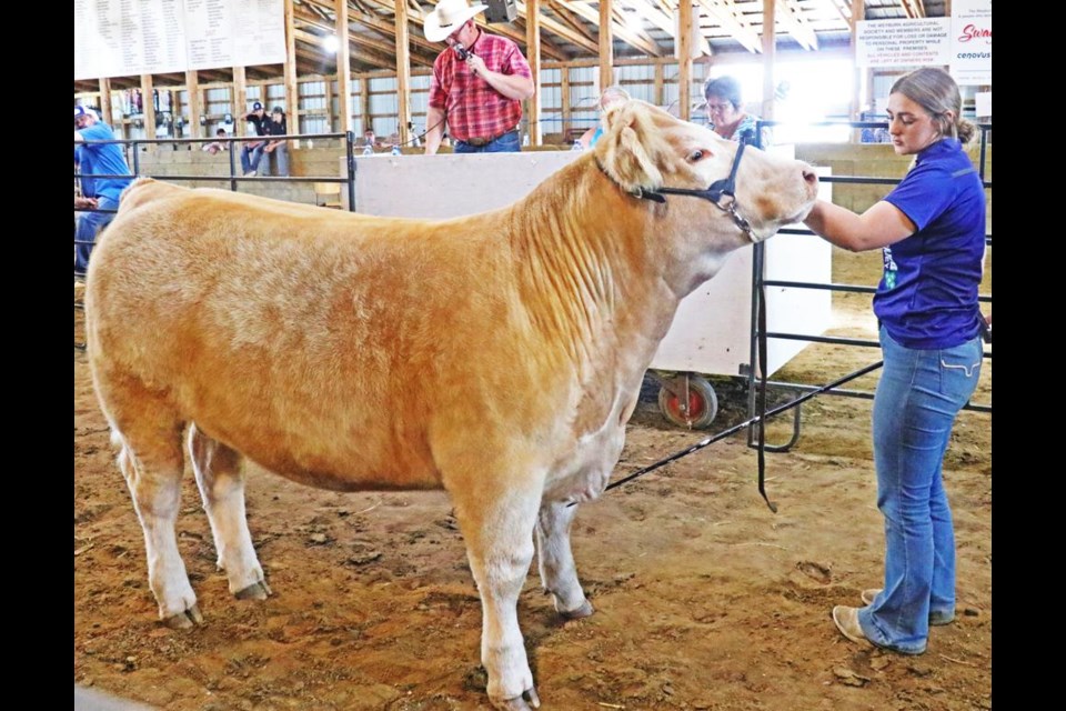 Kyla Lees of the Arcola-Kisbey 4-H Beef Club was first up, selling her Grand Champion steer for $5 a pound at the Regional 4-H Fed Calf Sale on Wednesday afternoon.