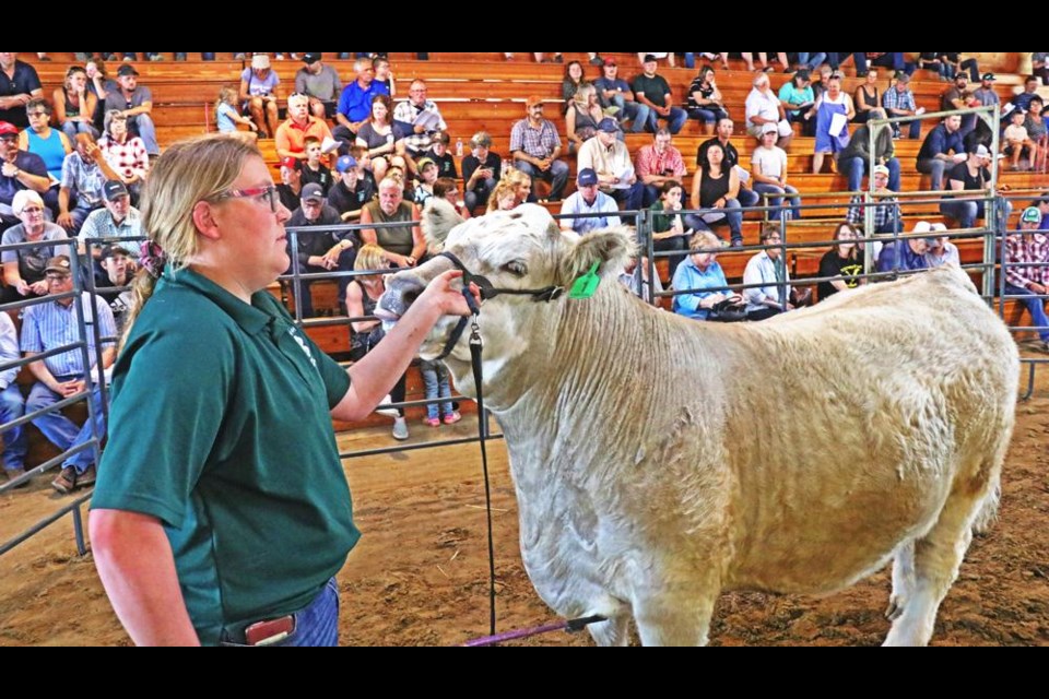 Josey Robinson of the Lomond 4-H Beef Club brought in her steer for the sale, weighing 1,470 pounds; this steer was the grand champion for the Lomond 4-H club in 2022.