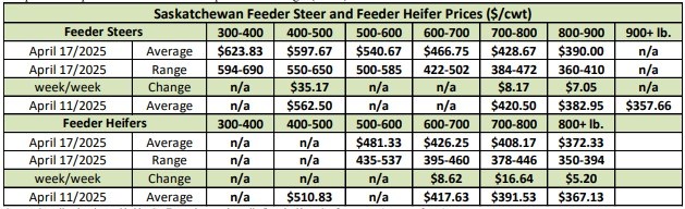 afeeder-prices