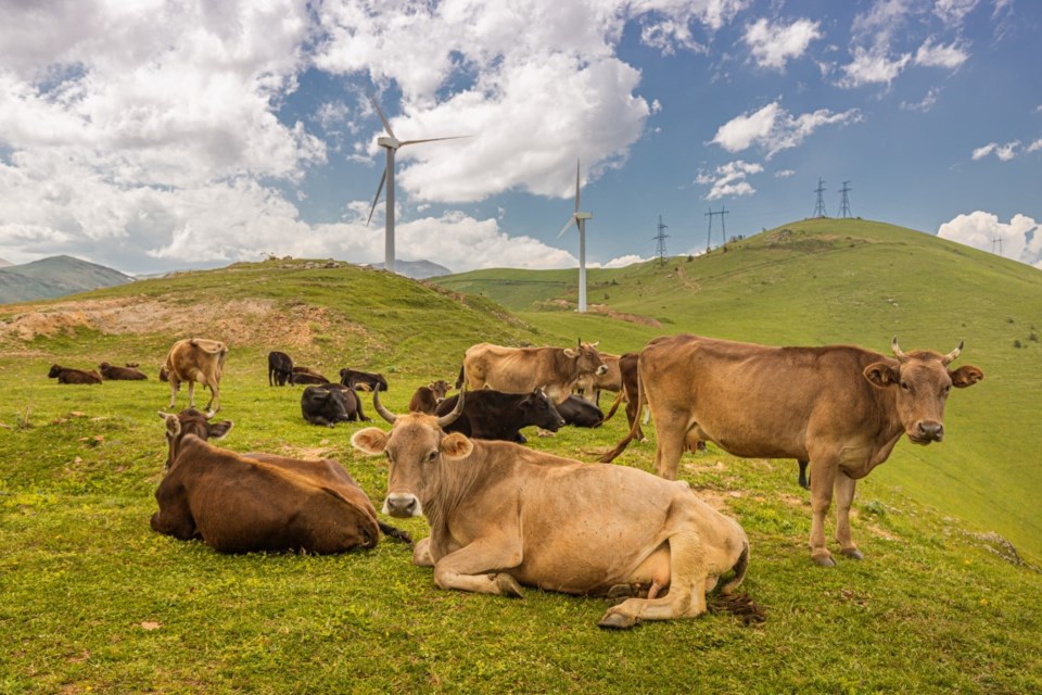 ag carbon capture