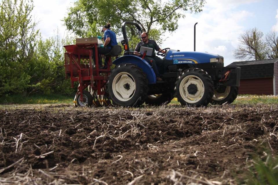 143026_web1_aim-crop-plot-seeding_may-2025_janelle-rudolph