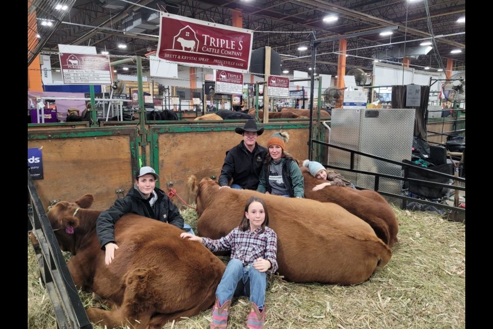 The Spray family of Triple S Cattle Company had the experience of a lifetime when they attended and showed three of their purebred Gelbvieh cattle at Agribition in Regina at the end of November. 