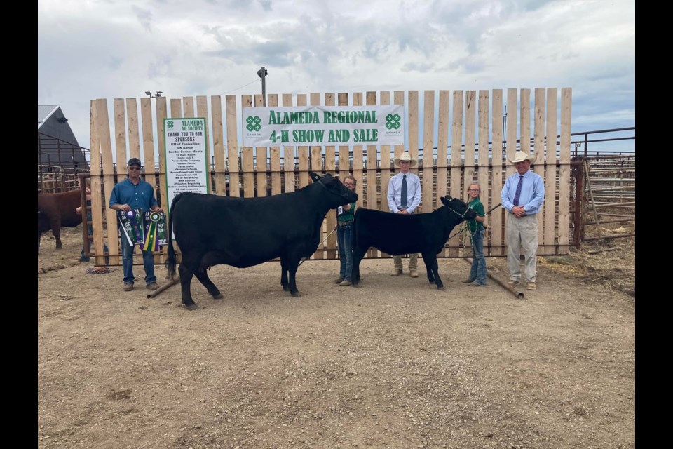 Talia Perrot of Alameda raised the Supreme Champion Heifer, and also had a Grand Champion Continuation Heifer (three years old). 