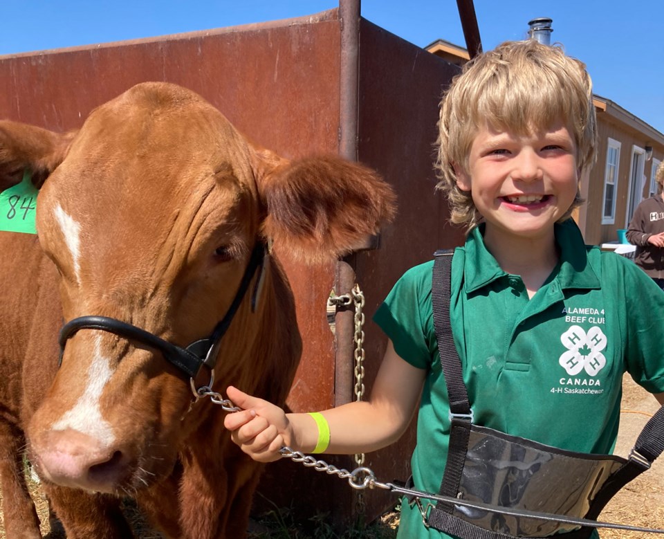 alameda-regional-4-h-show-and-sale-2023