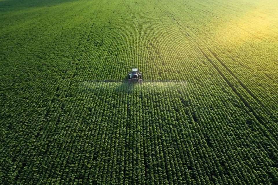 applying fertilizer