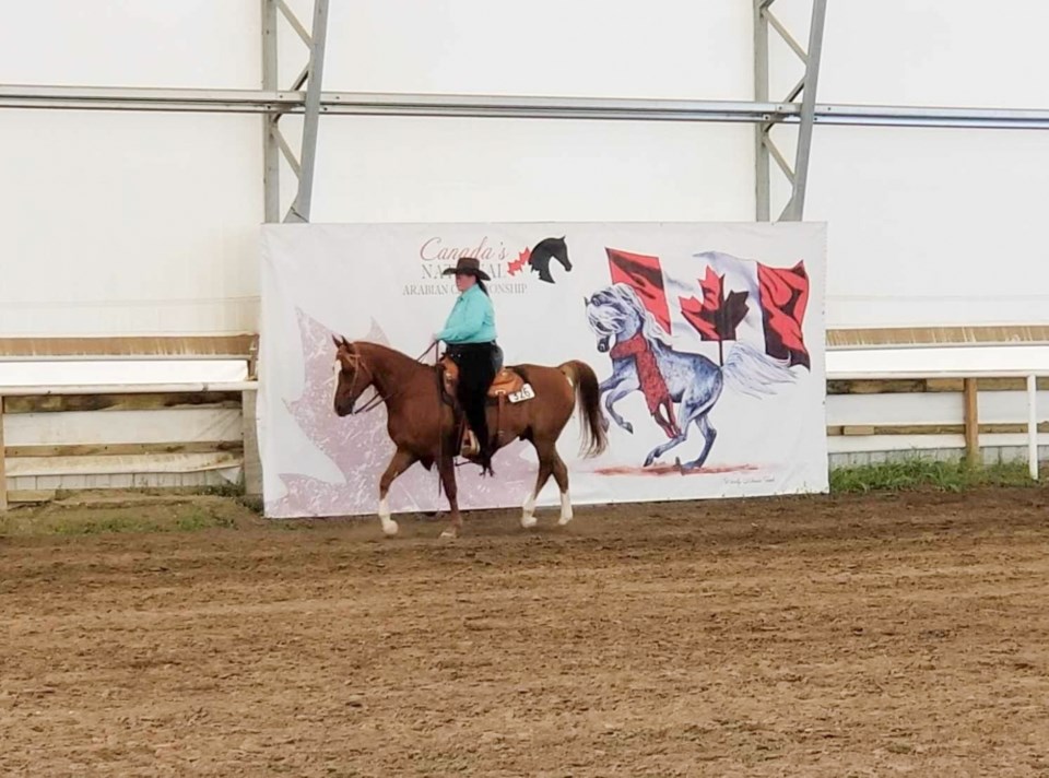 arabian-horse-show-tribute-lampman