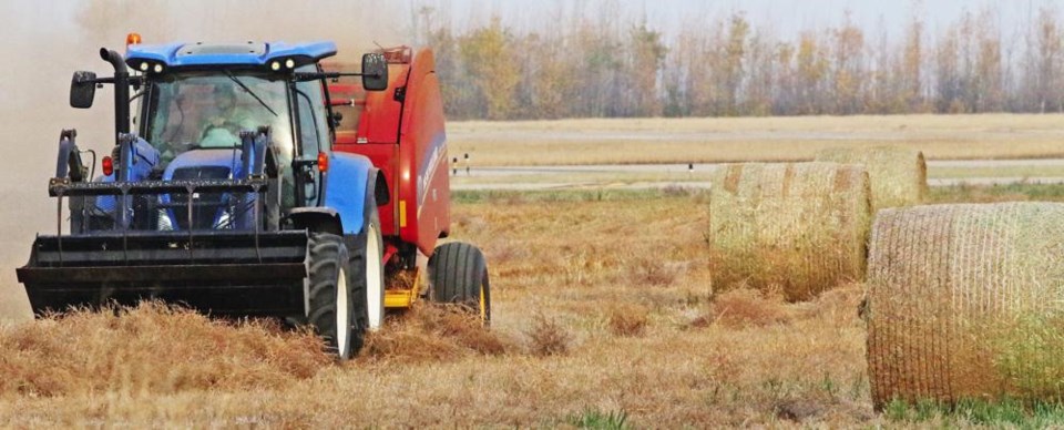 Baling-4990