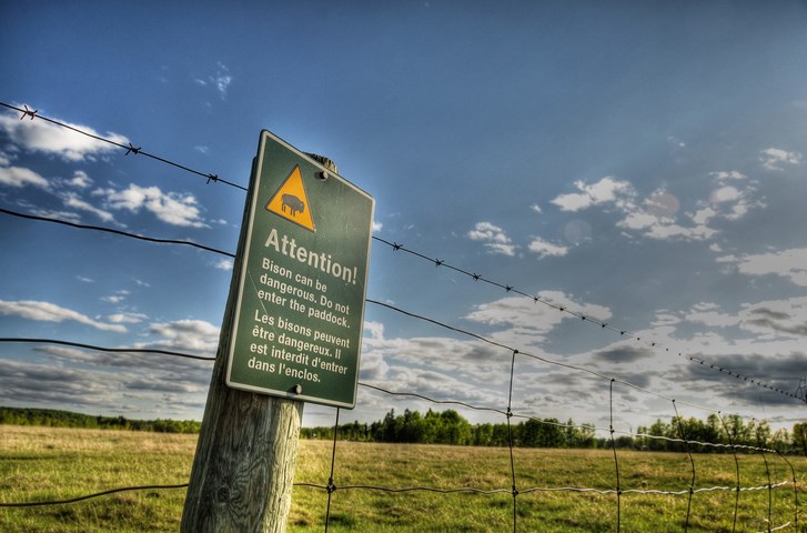 Bison sign in the canadian prairies