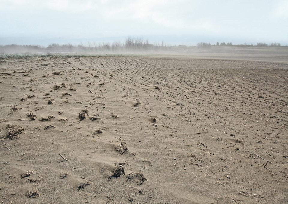 blowing soil mike raine wp