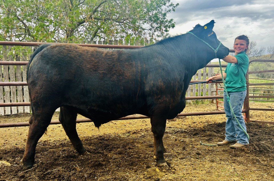 Bowyn Freitag with his steer Fancy Jim.